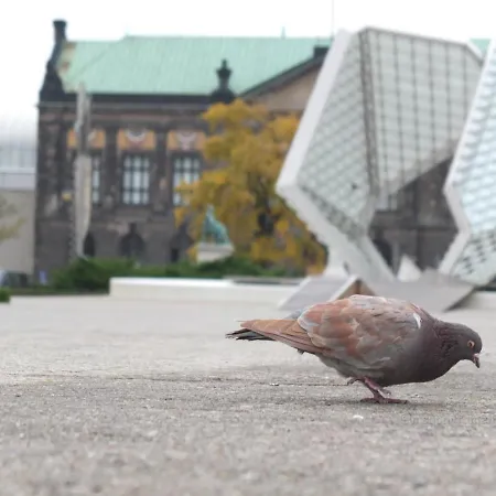 アパート Msapartamenty Centrum 3