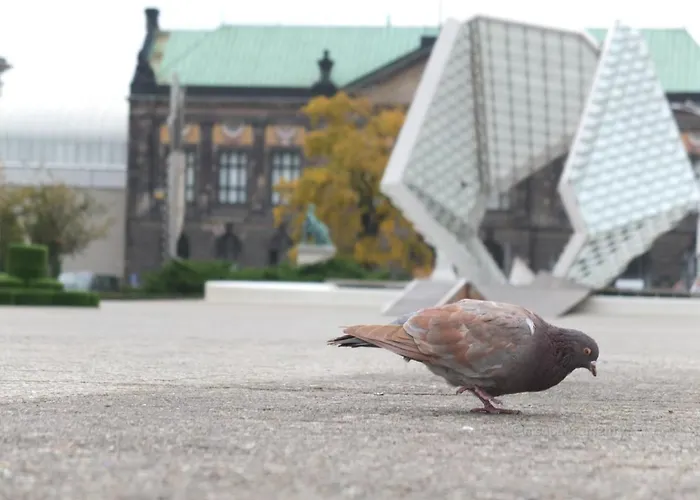 アパート Msapartamenty Centrum 3